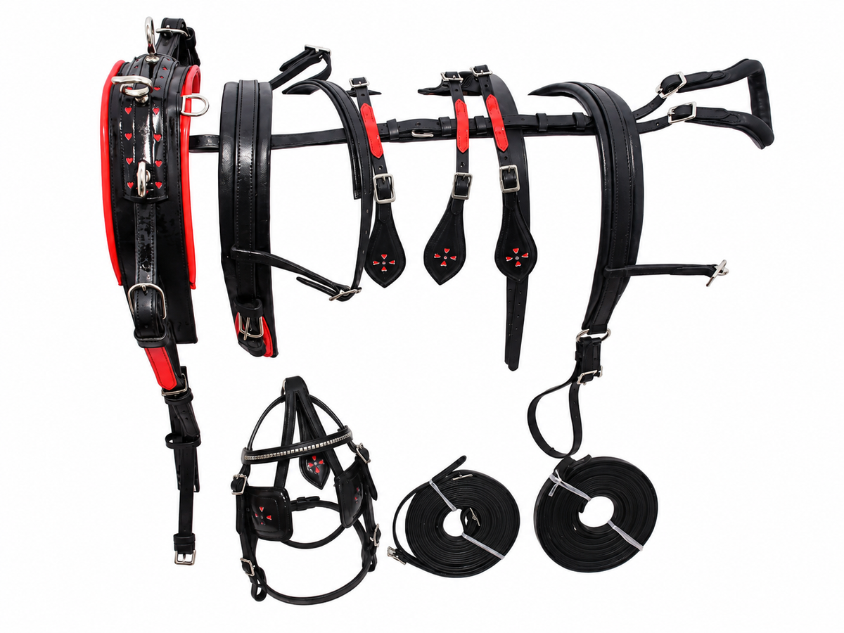 Miniature Leather Driving Harness Full Set Black Red