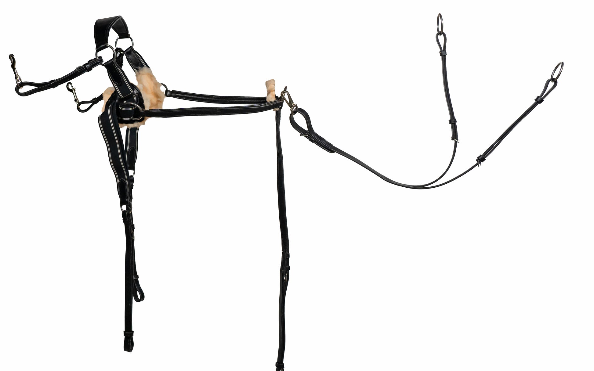 Five Point Leather Breastplate And Martingale Handcrafted Black with Comfort Pressure Pads Full Size