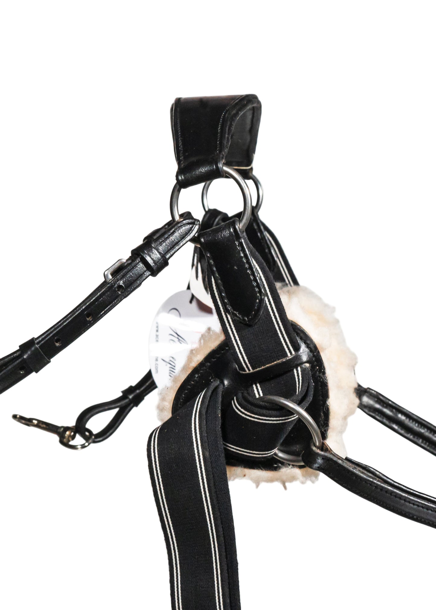 Five Point Leather Breastplate And Martingale Handcrafted Black with Comfort Pressure Pads Full Size