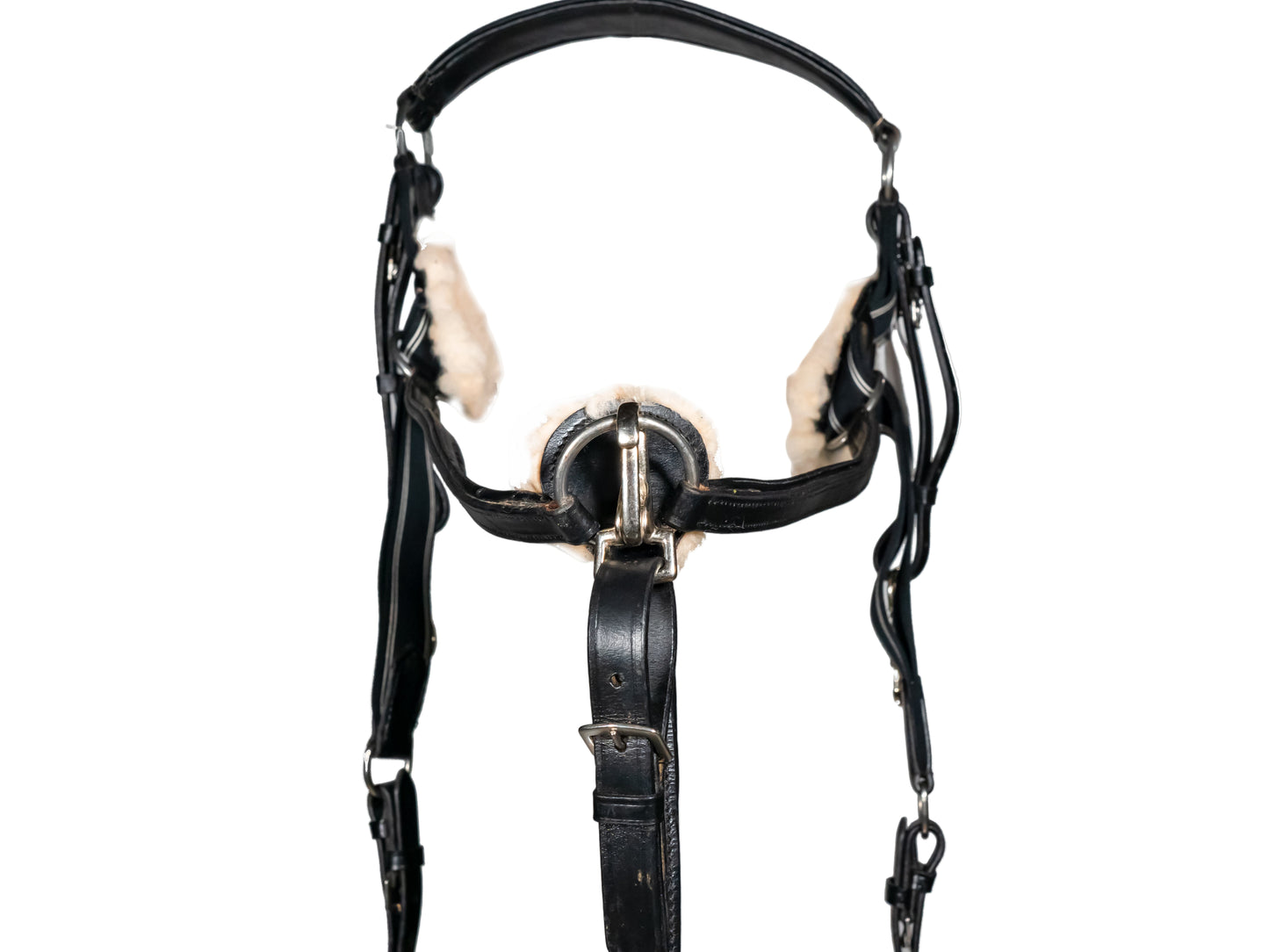 Five Point Leather Breastplate And Martingale Handcrafted Black with Comfort Pressure Pads Full Size