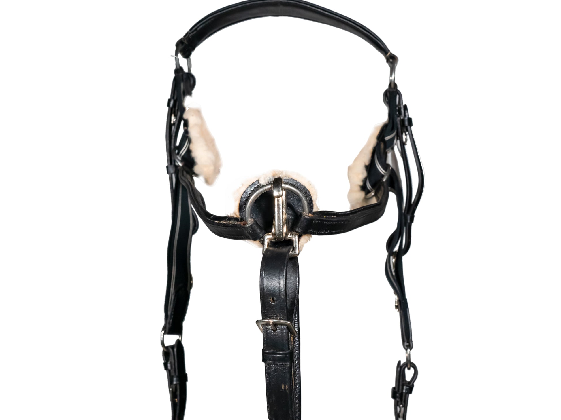 Five Point Leather Breastplate And Martingale Handcrafted Black with Comfort Pressure Pads Full Size