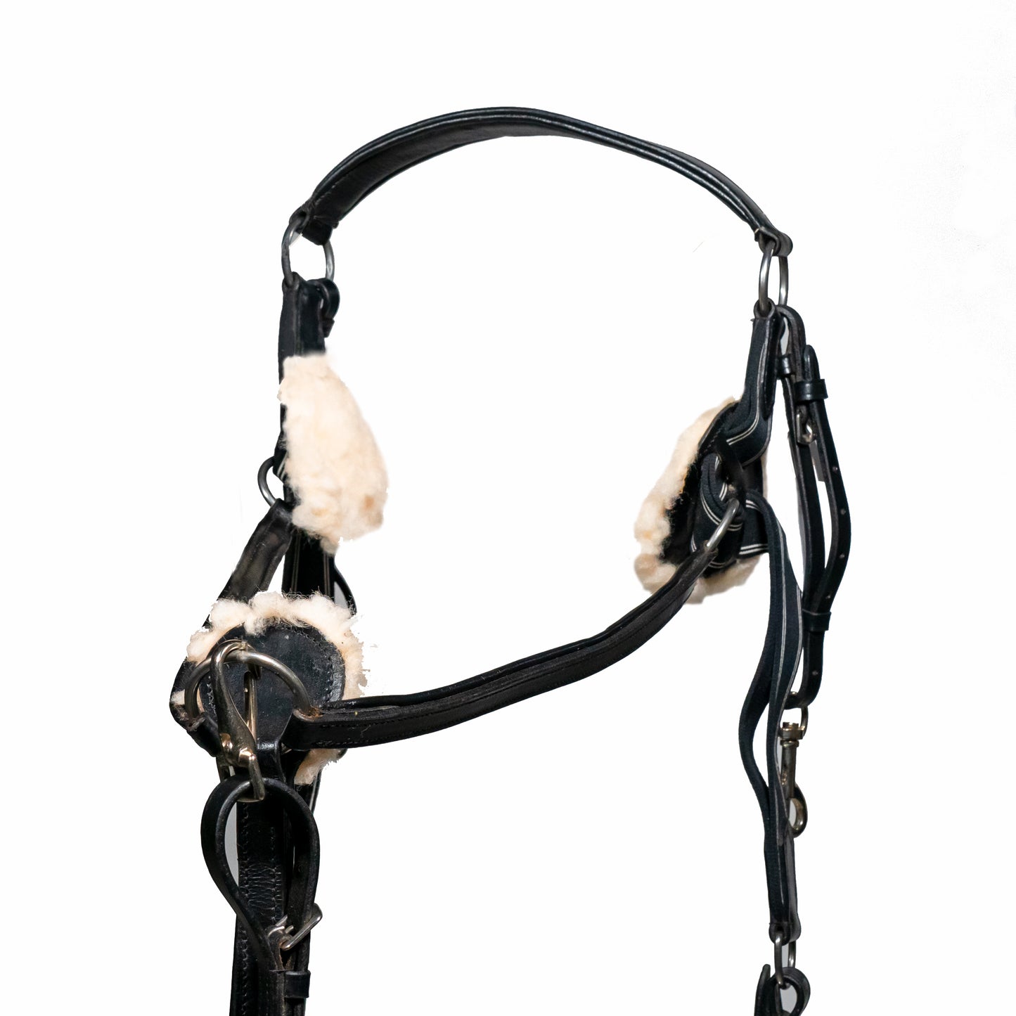 Five Point Leather Breastplate And Martingale Handcrafted Black with Comfort Pressure Pads Full Size