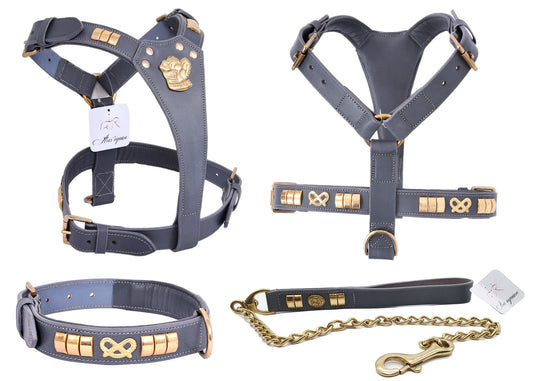 Handcrafted_Grey_Leather_Staffy_Dog_Harness_Collar_And_Chain_Lead_Set_Luxury_Comfort_Fit_with_Brass_Knot