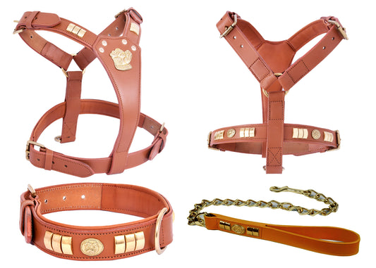 Handcrafted Tan Leather Staffy Dog Harness Collar And Chain Lead Set Luxury Comfort Fit with Brass Dog Face