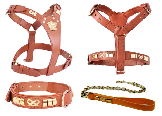 Handcrafted Tan Leather Staffy Dog Harness Collar And Chain Lead Set Luxury Comfort Fit with Brass Knot
