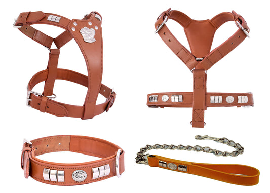 Handcrafted Tan Leather Staffy Dog Harness Collar And Chain Lead Set Luxury Comfort Fit with Chrome Dog Face