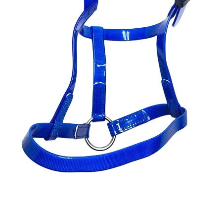 PVC Horse Driving Underhalter Soft Durable Headcollar Stainless Steel Blue Pony Cob Full