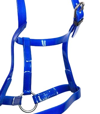 PVC Horse Driving Underhalter Soft Durable Headcollar Stainless Steel Blue Pony Cob Full