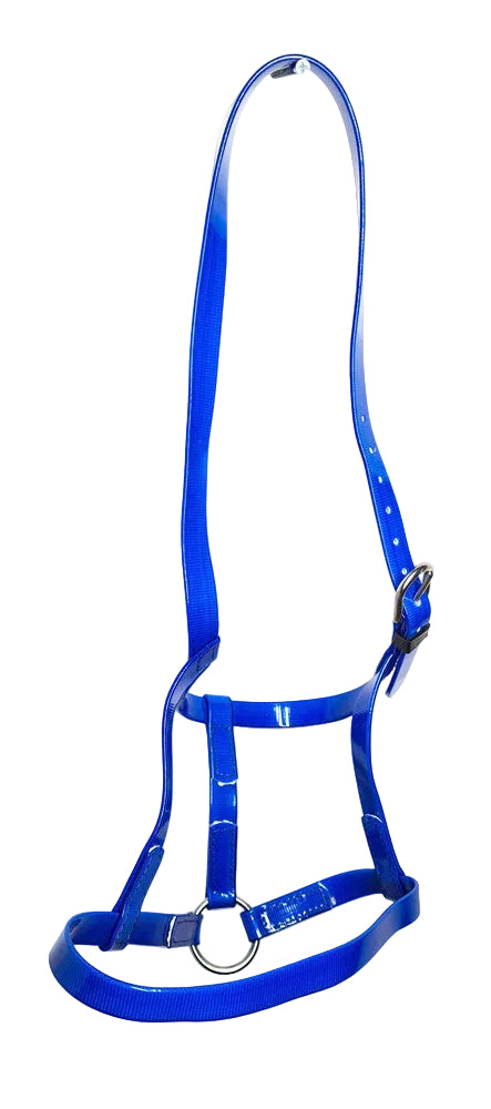PVC Horse Driving Underhalter Soft Durable Headcollar Stainless Steel Blue Pony Cob Full