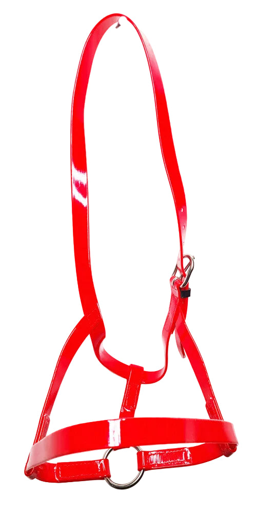 PVC Horse Driving Under Halter Soft Durable Headcollar Stainless Steel Red Pony Cob Full