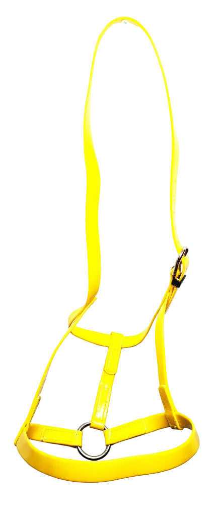Driving Underhalter Soft Durable Headcollar Stainless Steel Yellow Pony Cob Full