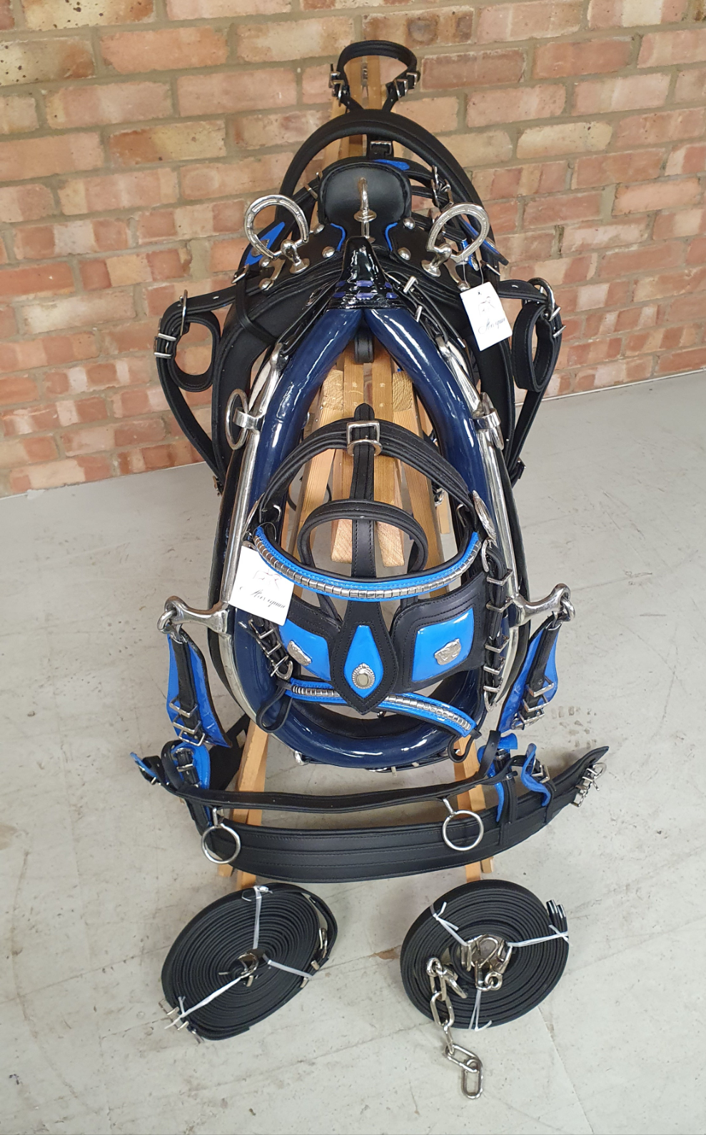 Trade Breeching Harness Black and Blue Cob