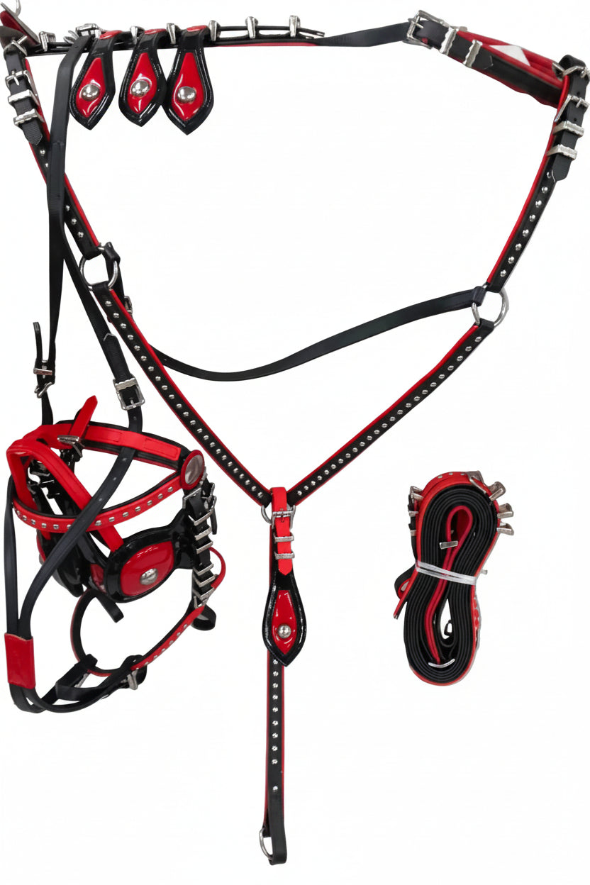 QuickHitch harness black and red Cob size