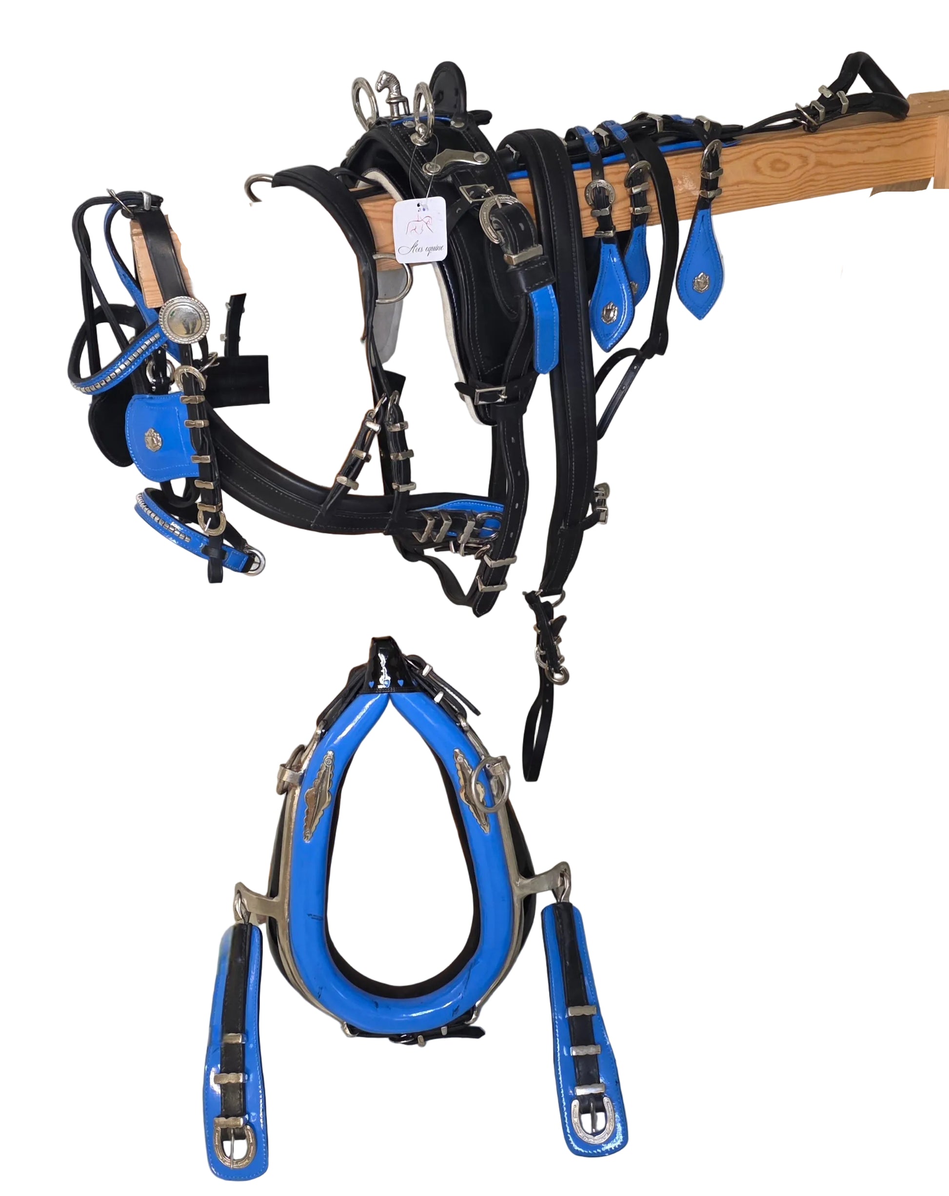 Trade Diddy Breeching harness Black and Blue