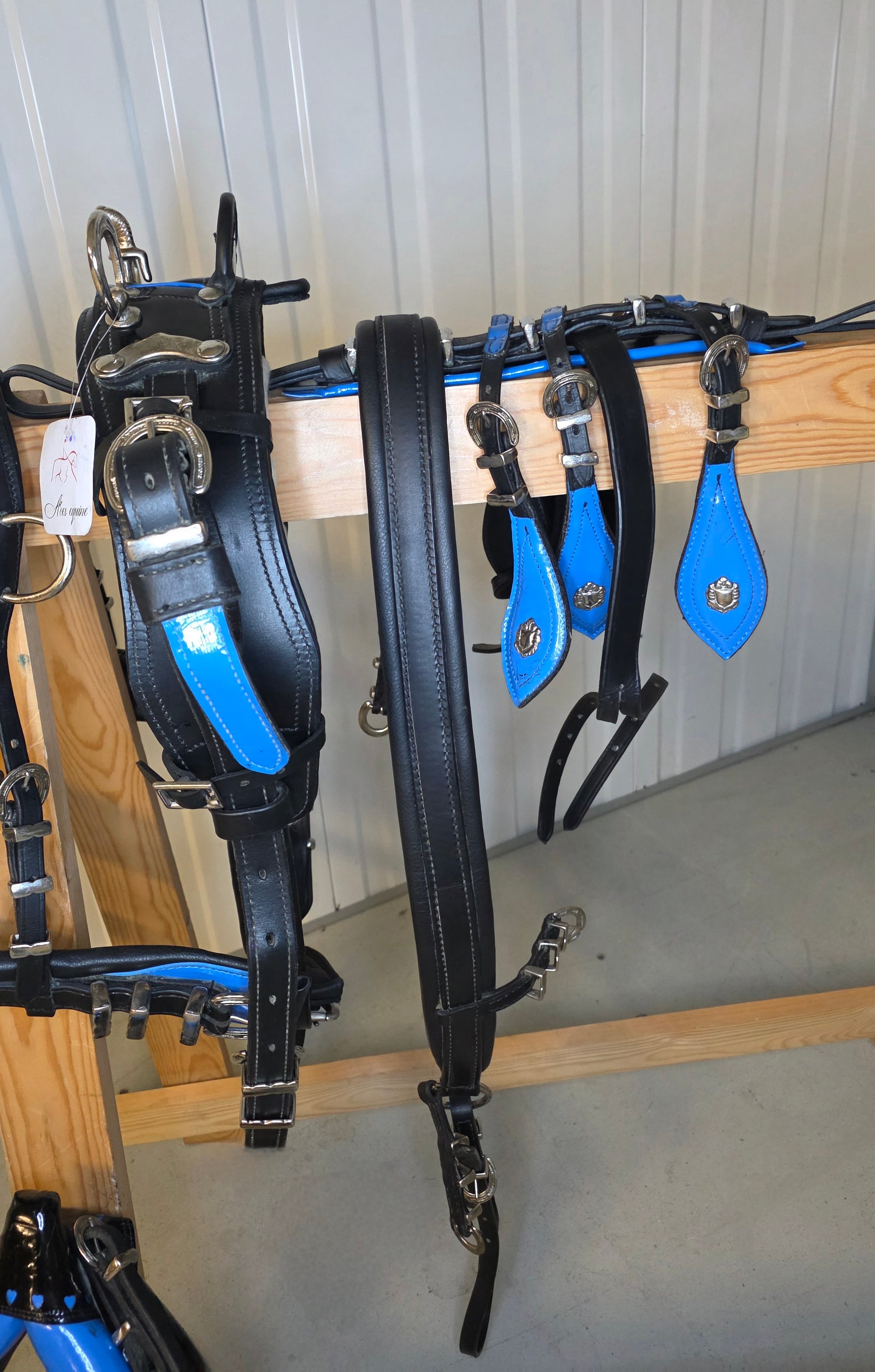 Trade Diddy Breeching harness Black and Blue