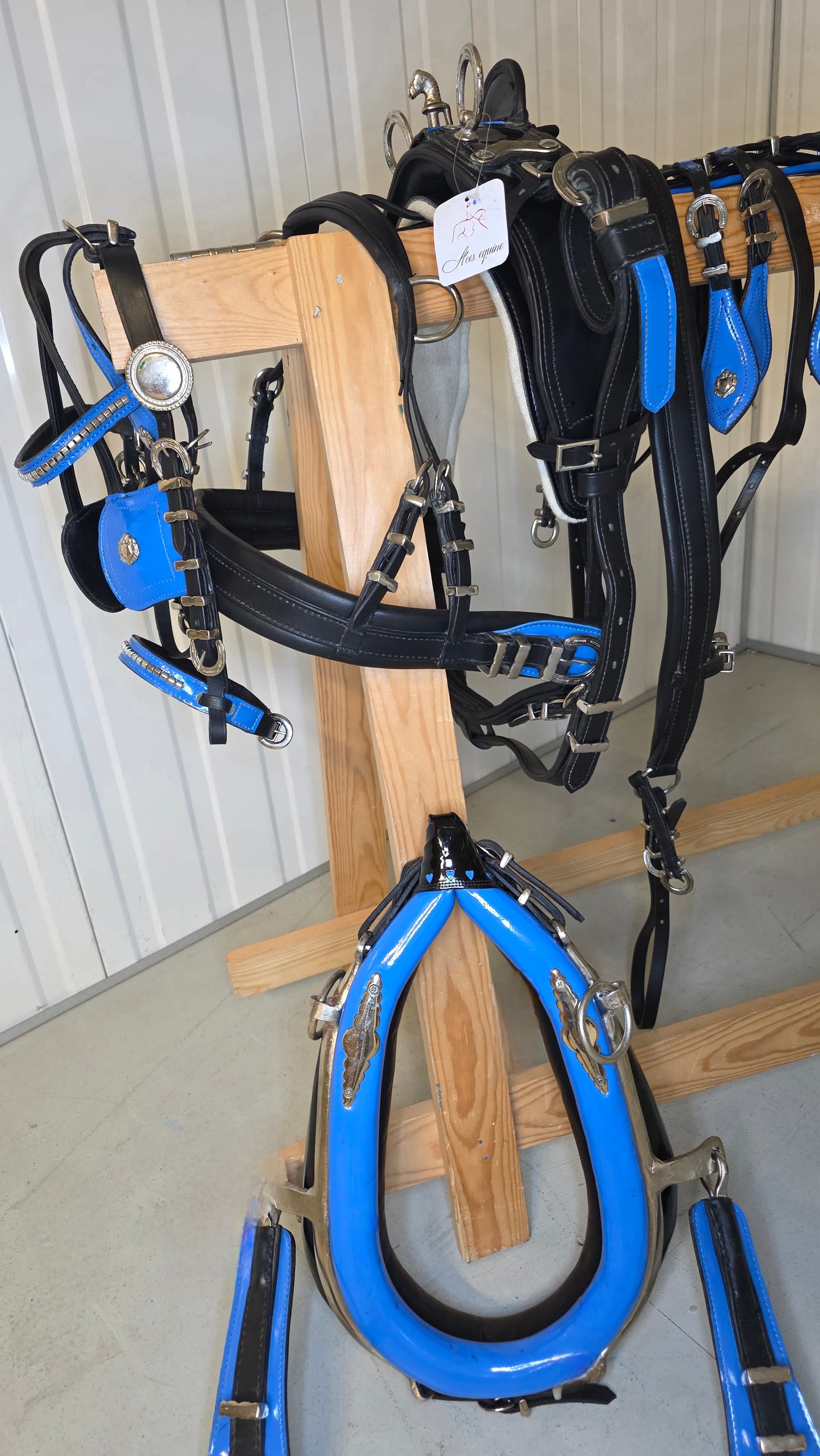Trade Diddy Breeching harness Black and Blue