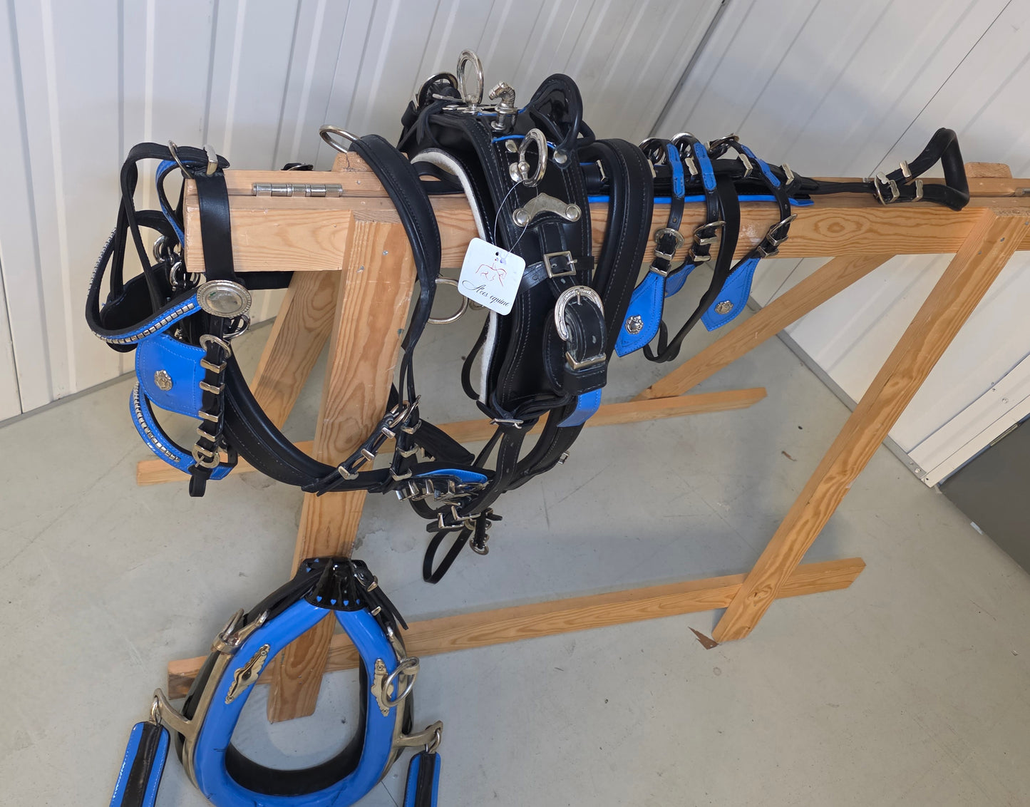 Trade Diddy Breeching harness Black and Blue