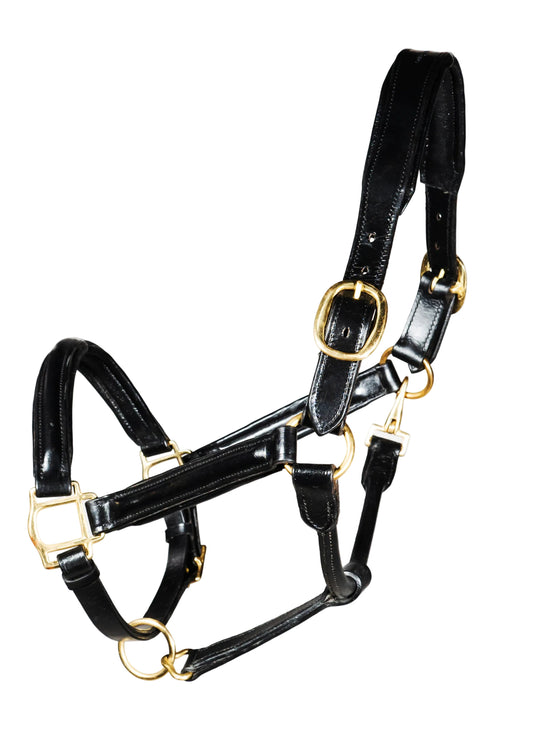Leather Horse Headcollar Raised Padded Halter with Nickel Fittings Comfortable Black Pony Cob Full 