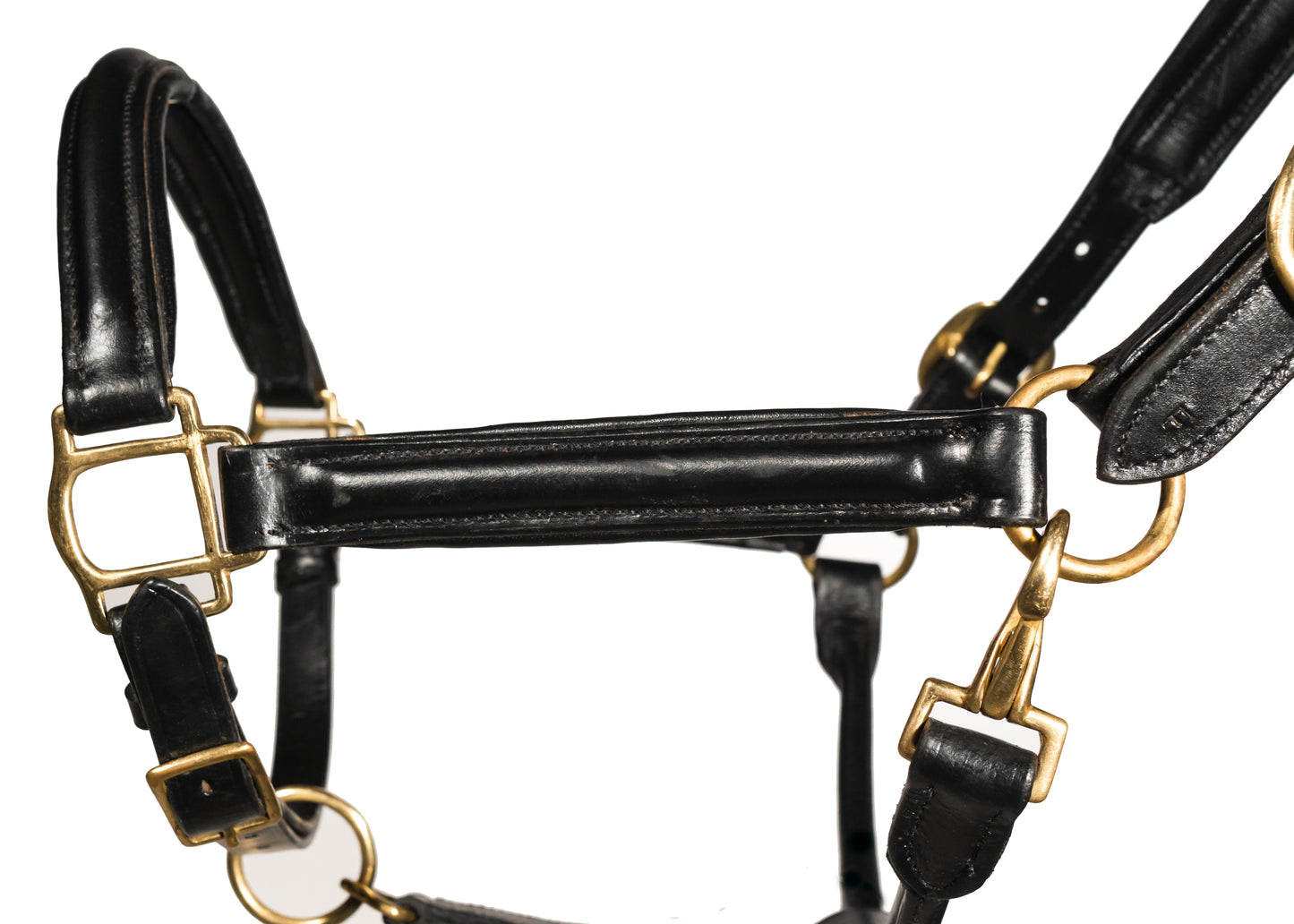 Leather Horse Headcollar Raised Padded Halter with Nickel Fittings Comfortable Black Pony Cob Full 