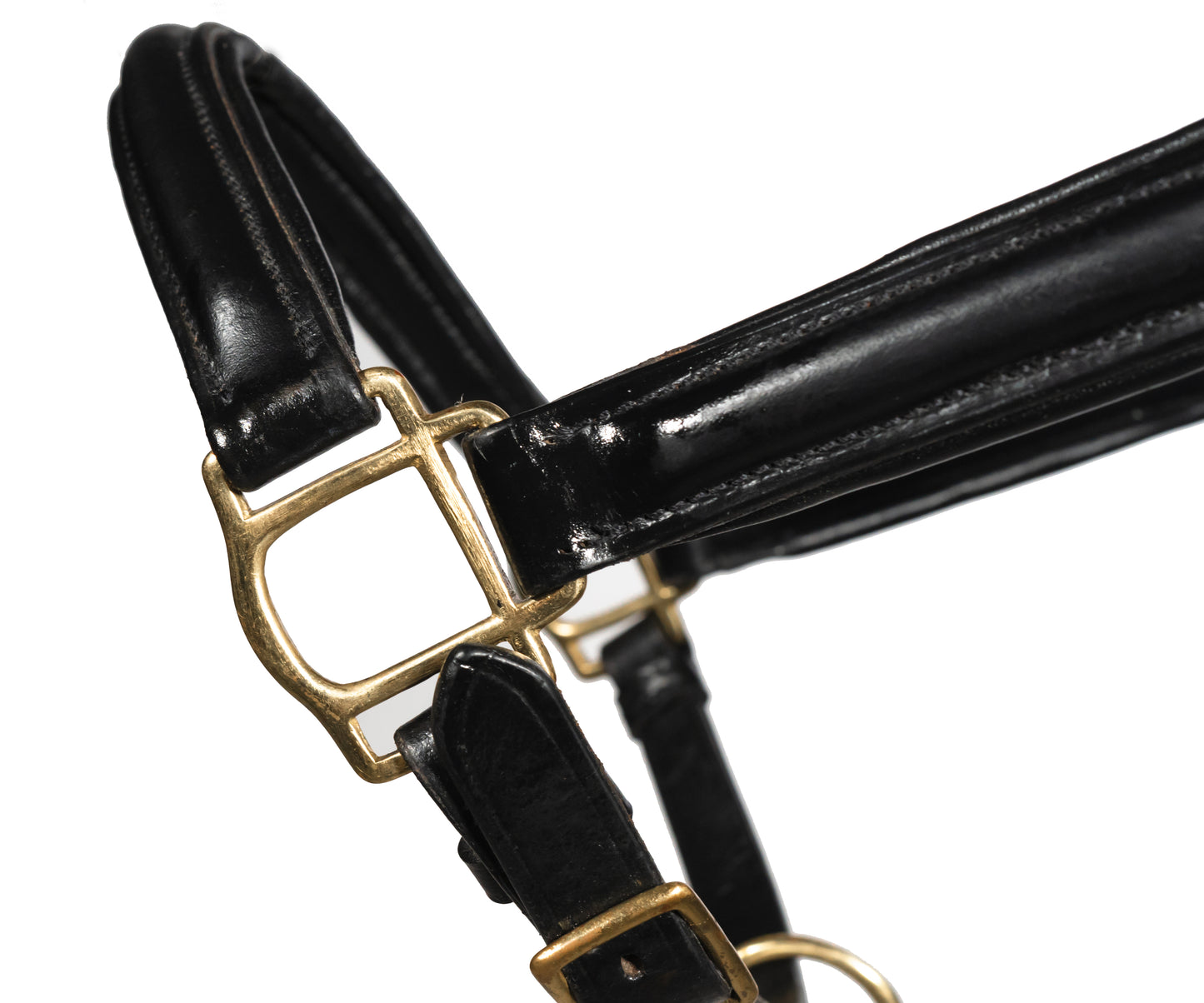 Leather Horse Headcollar Raised Padded Halter with Nickel Fittings Comfortable Black Pony Cob Full 