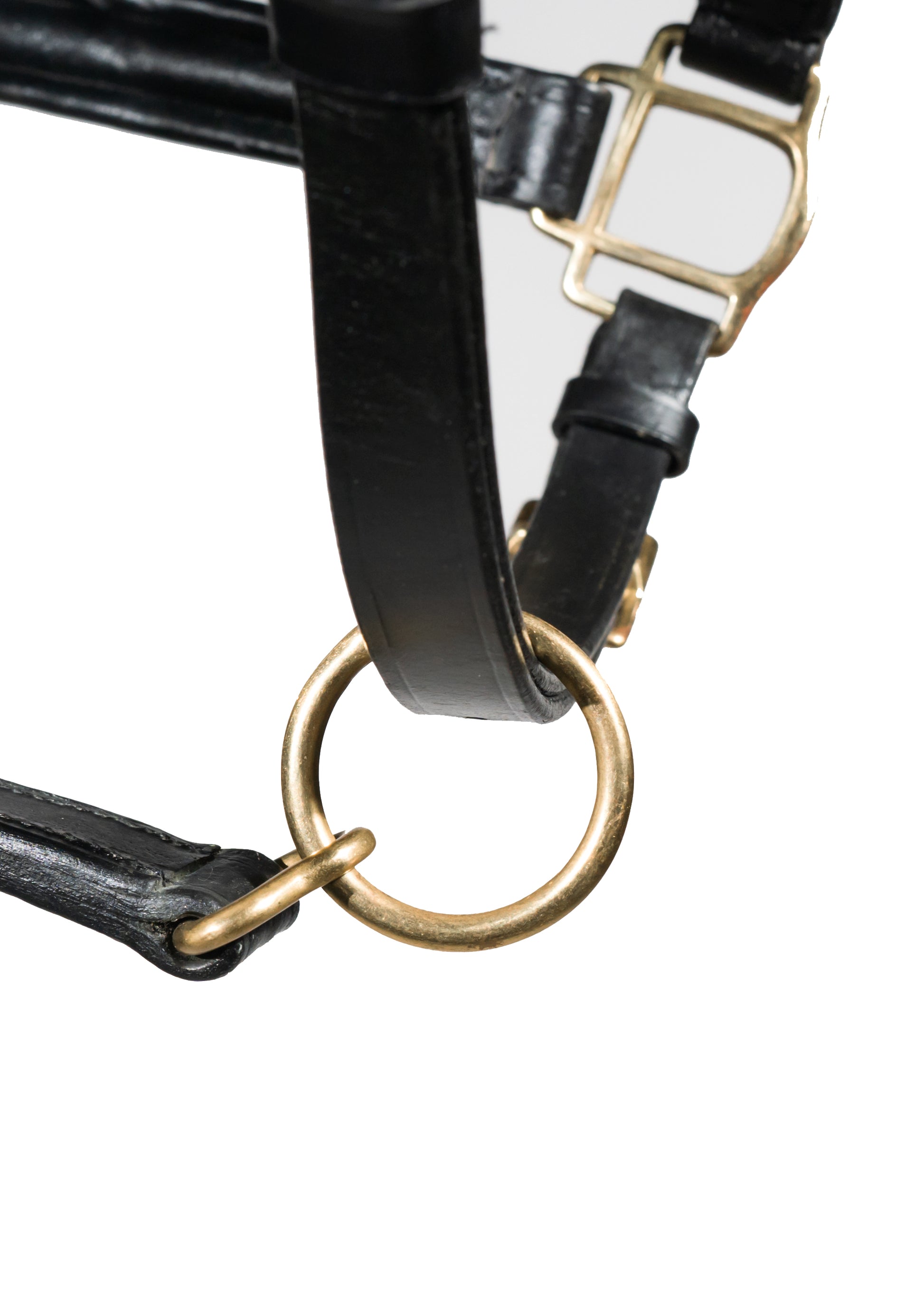 Leather Horse Headcollar Raised Padded Halter with Nickel Fittings Comfortable Black Pony Cob Full 