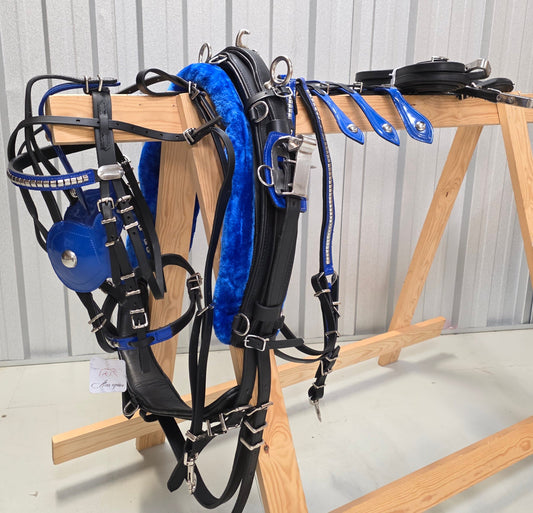 Leather Quick Hitch Harness Black Blue Aces Equine 