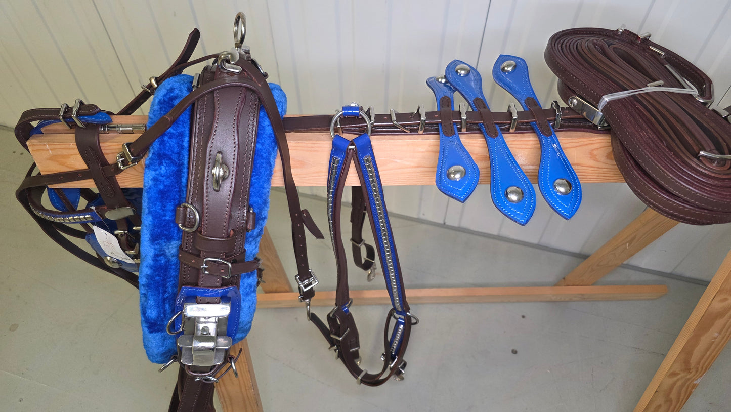 Leather Quick Hitch Trotting Driving Harness Padded Comfort Strong Fit Chrome Fittings Brown And Blue Color