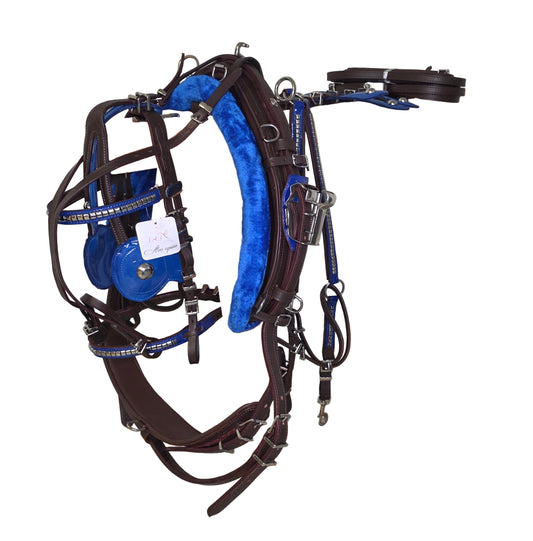 Leather Quick Hitch Trotting Driving Harness Padded Comfort Strong Fit Chrome Fittings Brown And Blue Color