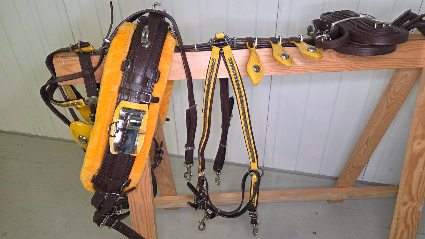 Leather Quick Hitch Trotting Driving Harness Padded Comfort Strong Fit Chrome Fittings Brown And Yellow Color