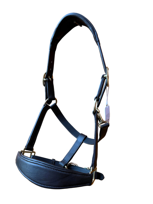 Luxury Handcrafted Leather Horse Halter Headcollar Anatomical Design with Solid Brass Accents And Soft Padding Black Color