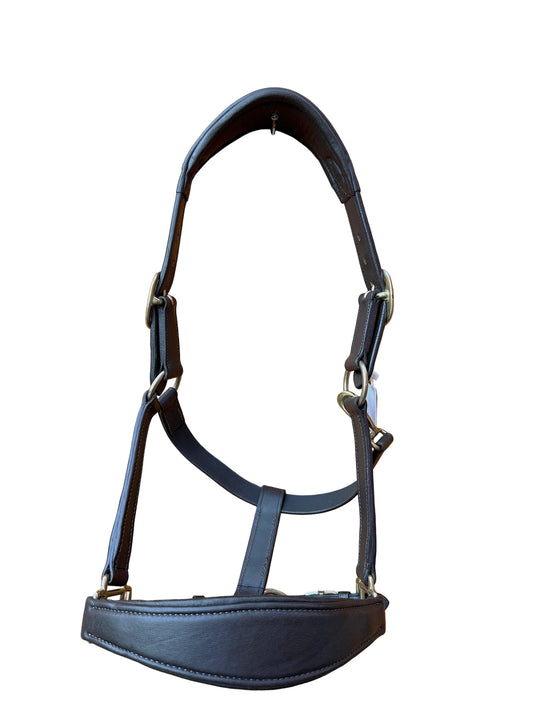 Luxury Handcrafted Leather Horse Halter Headcollar Anatomical Design with Solid Brass Accents And Soft Padding Black Color