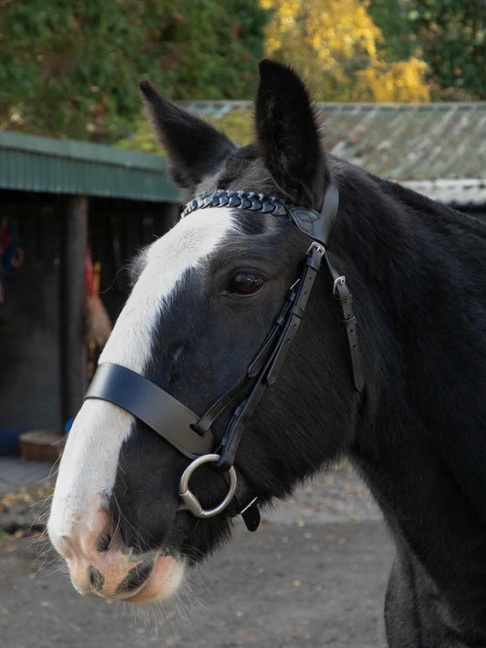 Leather Hunter Bridle Plated browband Black
