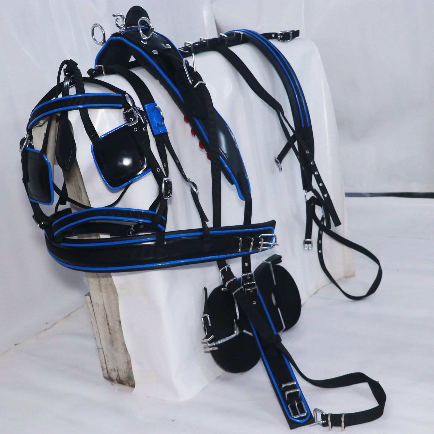 Nylon Driving Harness set Black and Blue size Full Cob Pony Shetland Mini Shetland and Miniature