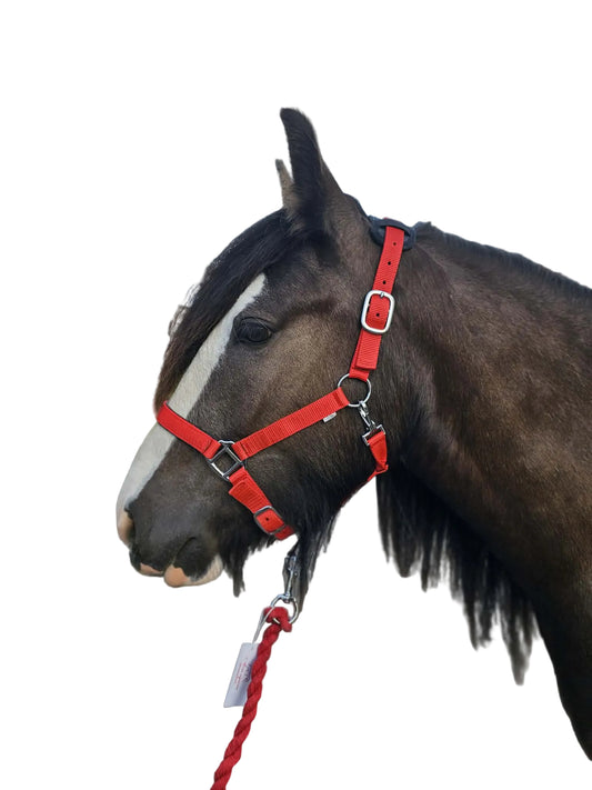 Nylon Padded Headcollar Soft Noseband And Headpiece With Rope Lead Red