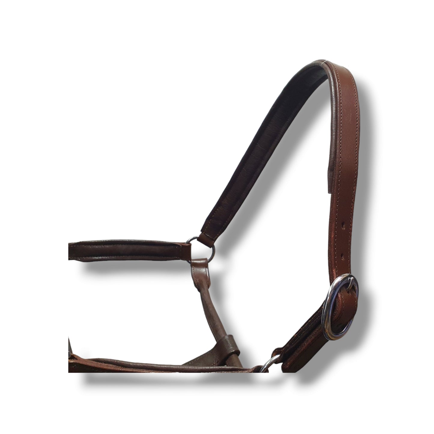 Leather Horse Halter Padded Brown
