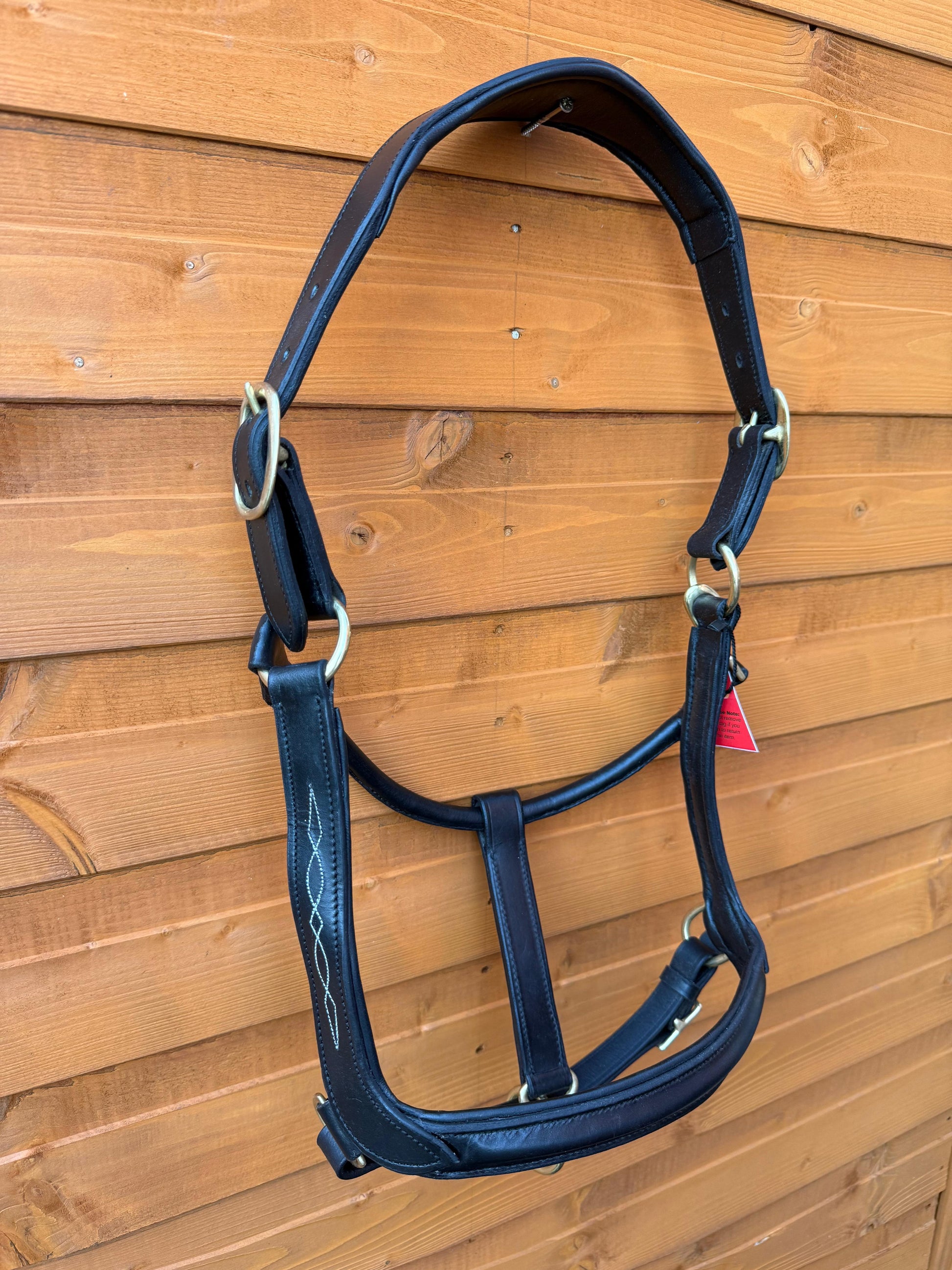 Premium Leather Anatomical Horse Black Headcollar with Brass Fittings and Padding