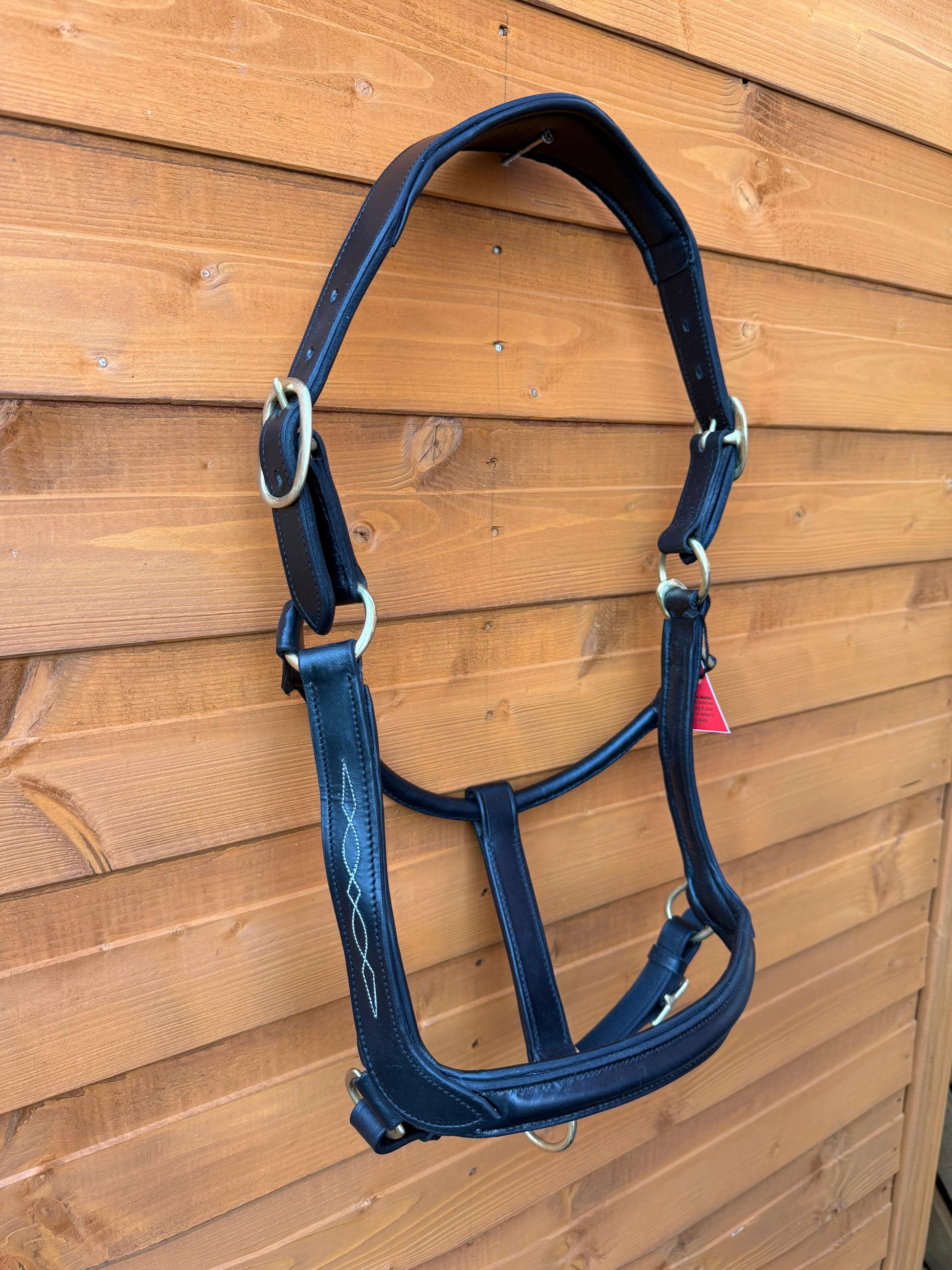 Premium Leather Anatomical Horse Black Headcollar with Brass Fittings and Padding