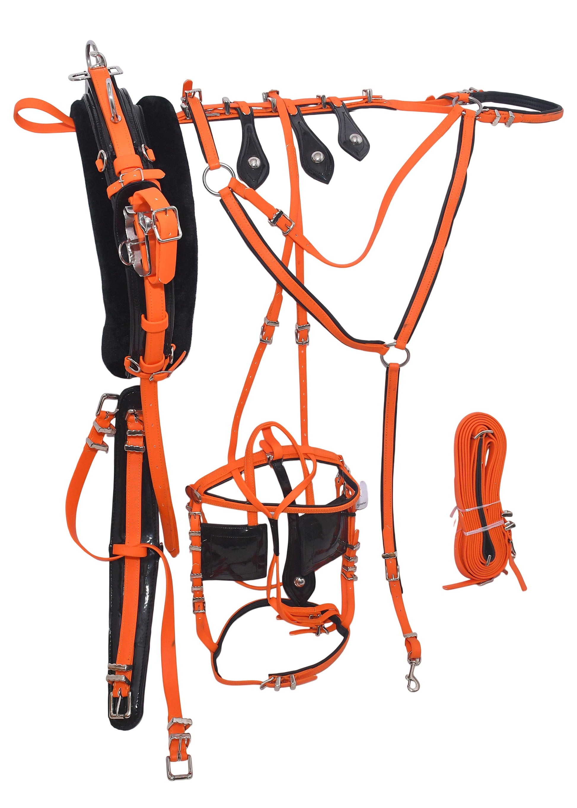 Quick Hitch Horse Harness for Trotting And Driving Orange Black
