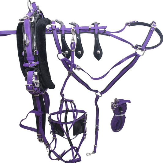 Quick Hitch Horse Harness for Trotting And Driving Purple Black