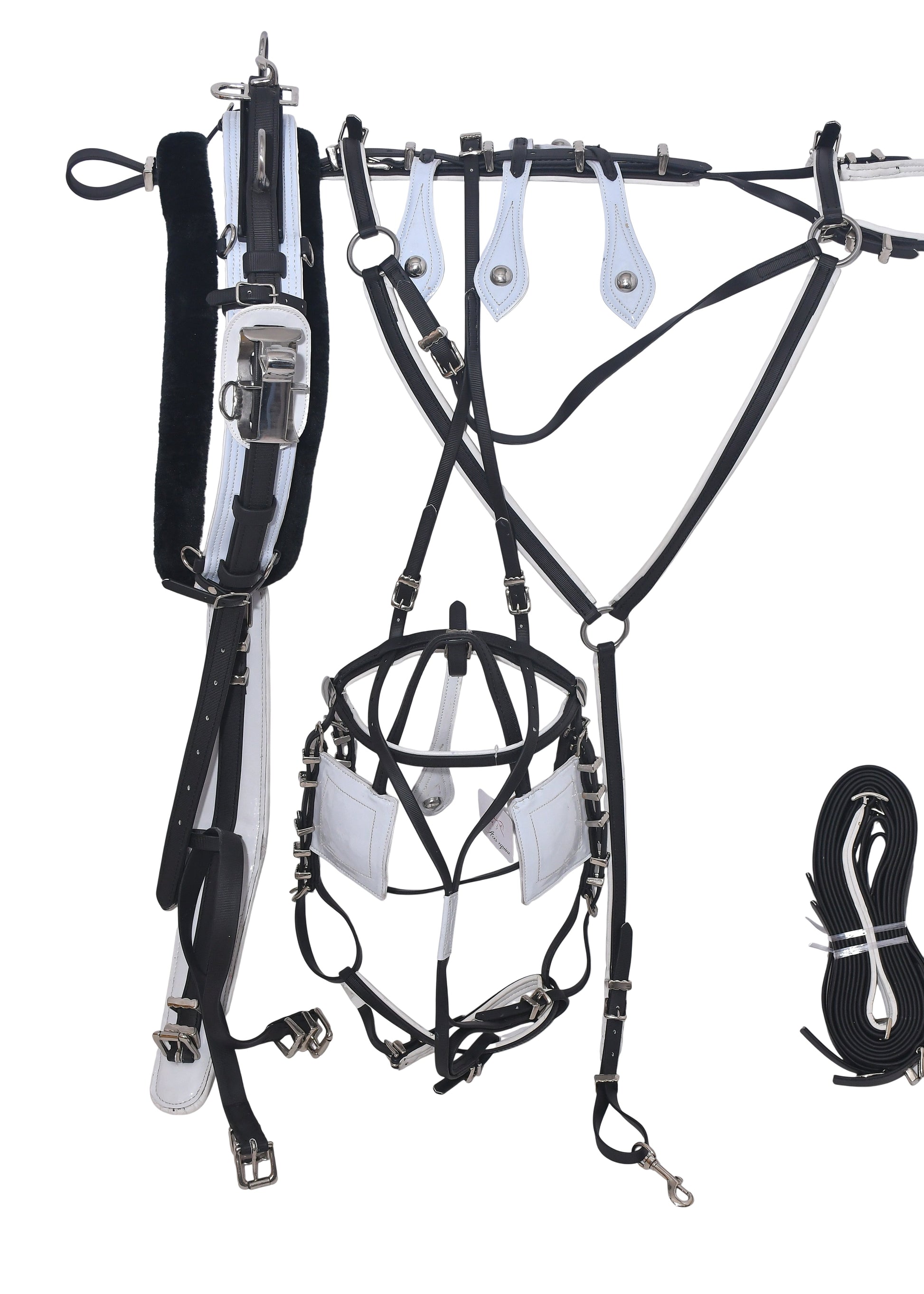 Quick Hitch Trotting Harness Black and White