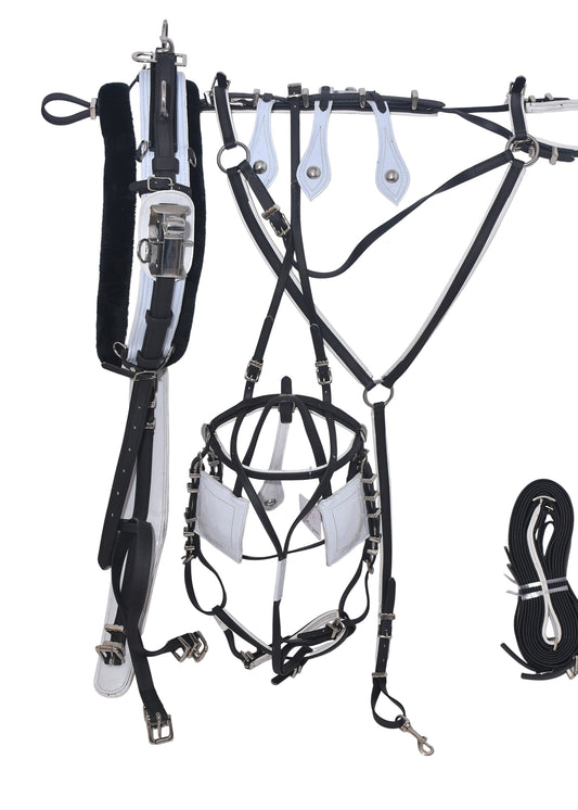 Quick Hitch Trotting Harness Black and White