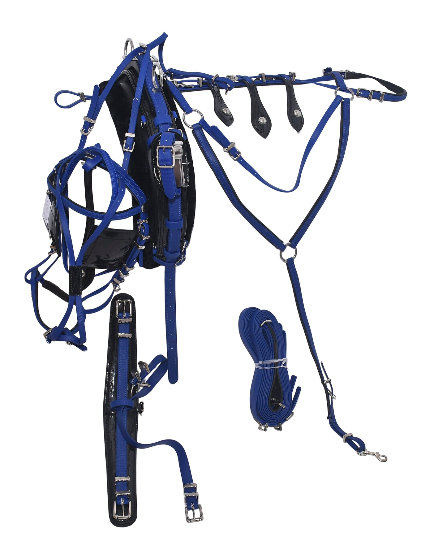 Quick Hitch Trotting Harness Blue And Black