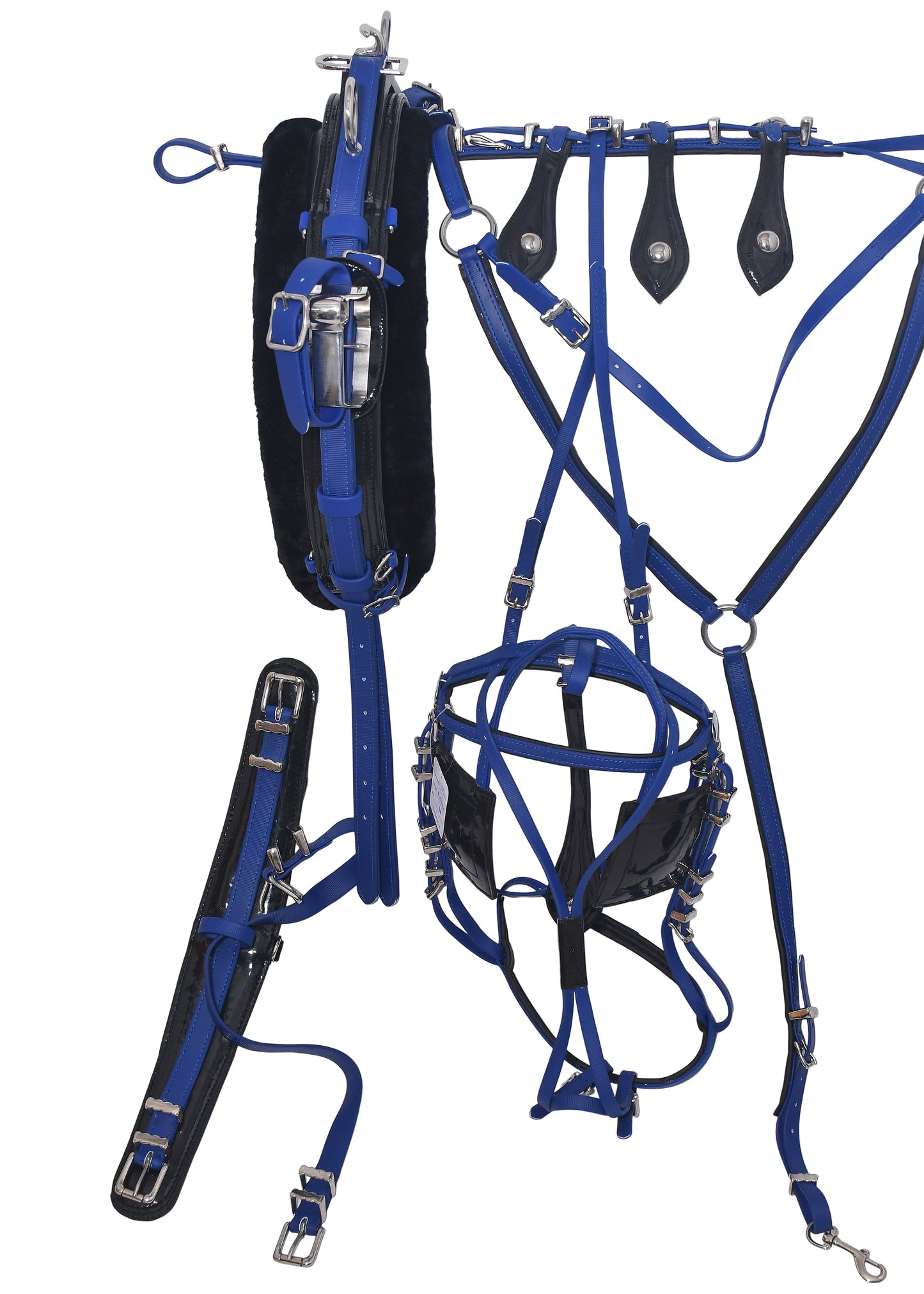 Quick Hitch Trotting Harness Blue And Black