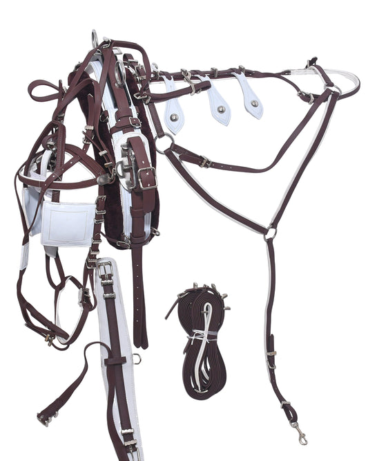 Quick Hitch Trotting Harness Brown And White