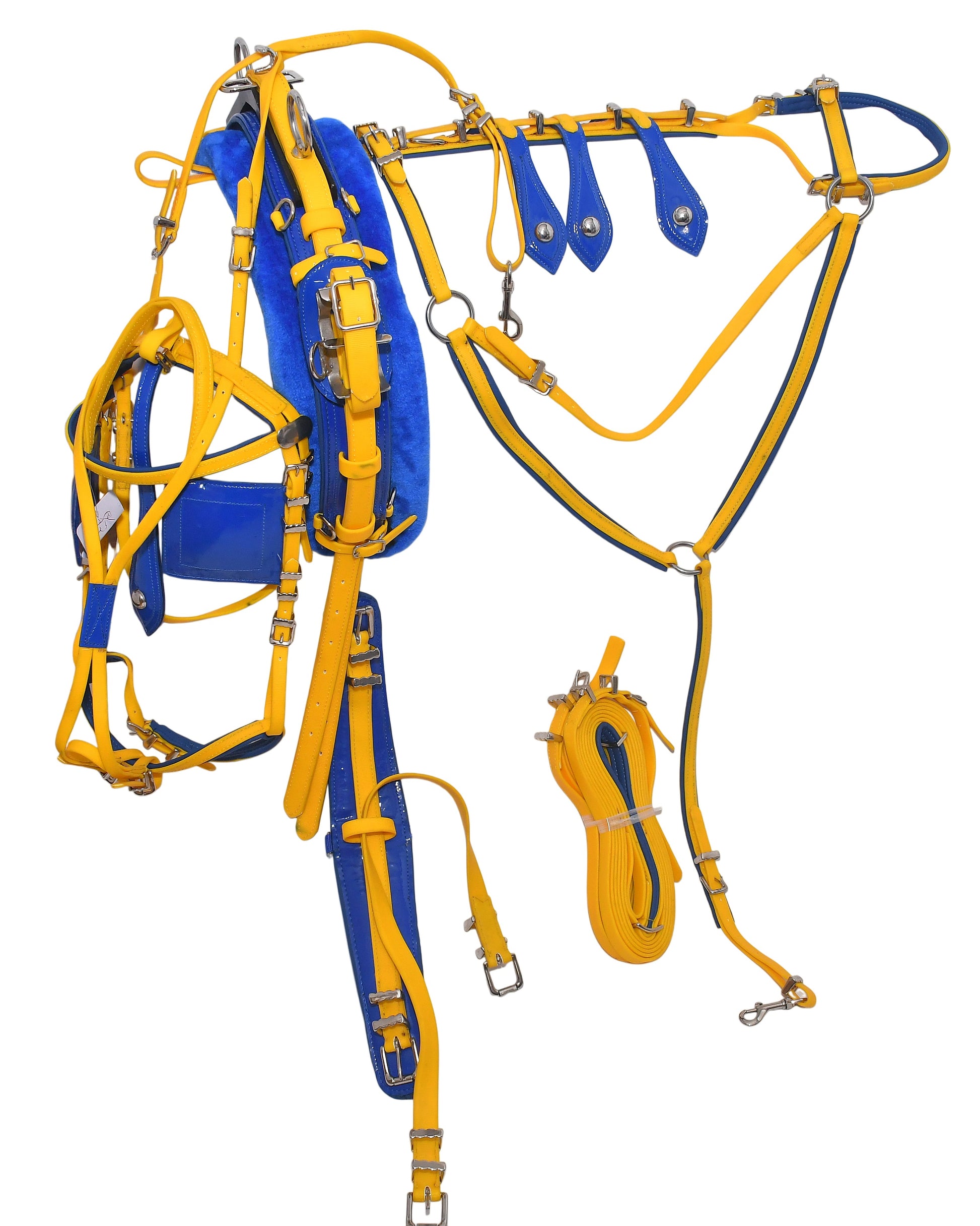 Quick Hitch Trotting Harness Yellow and Blue