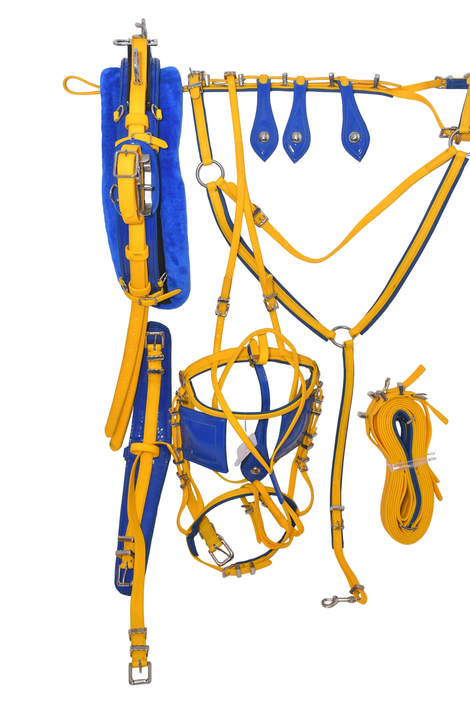 Quick Hitch Trotting Harness Yellow and Blue