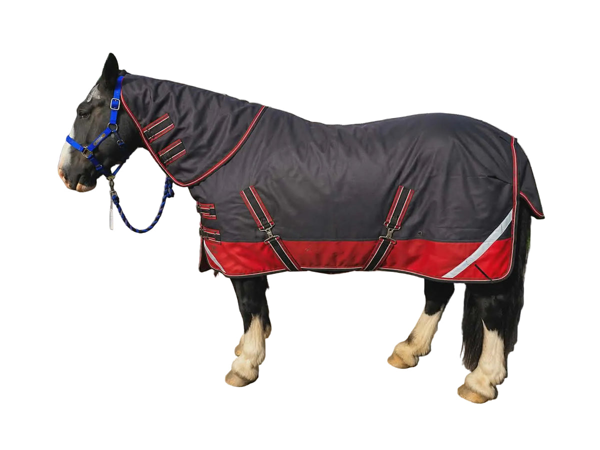 Rainsheet Waterproof Horse Rug with Detachable Neck Dark Grey and Orange