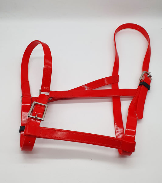 Mini Le Mieux Pony Headcollar - Toys - Tally Ho Farm Ltd - Foto 7