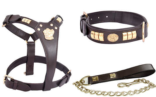 Staffie Dog Harness Collar And Chain Lead Set Premium Leather Brown Brass Fittings Soft Padded And Adjustable Design