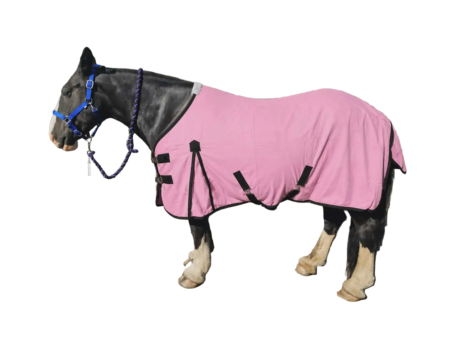 Turnout Rug Light Weight Rain Sheet Fully Water Proof Pink